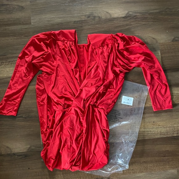 We Are HAH In A Rouche Dress - Picture 6 of 7